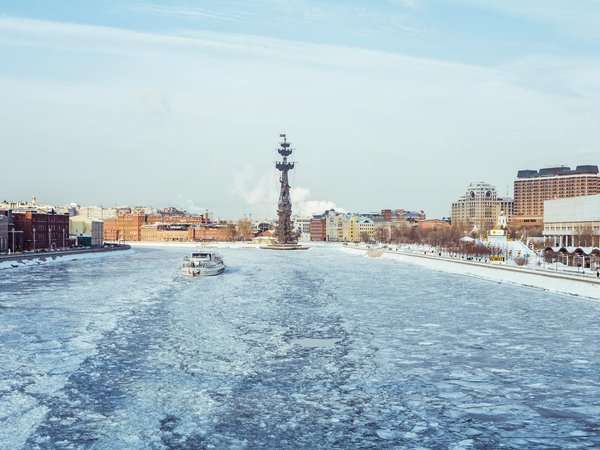 Comment organiser une croisière pour observer les pingouins en Patagonie?